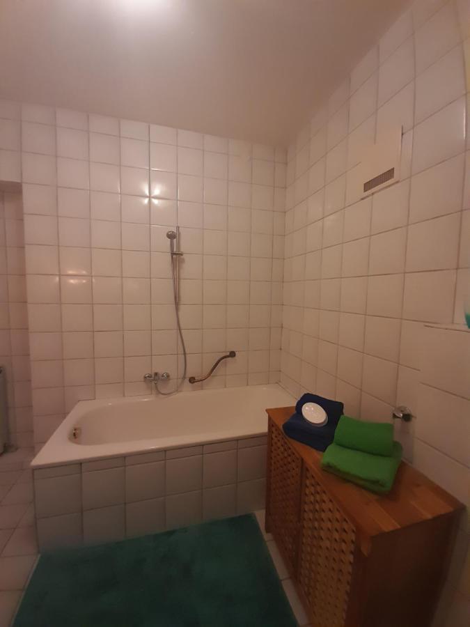 Donaublick Apartment Linz