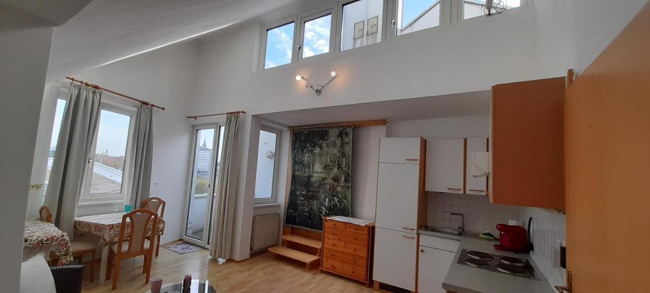 Apartment Donaublick